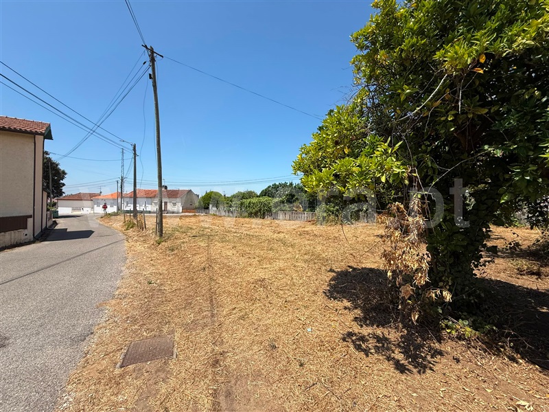 Moradia T3 à venda em Sangalhos, Anadia — foto 4