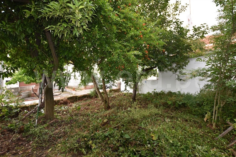 Moradia T3 Anadia, Vila Nova de Monsarros - 1252182 - 17