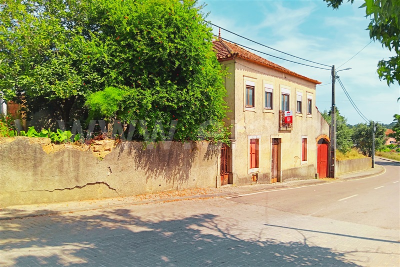 Moradia T3 Anadia, Vila Nova de Monsarros - 1252184 - 7