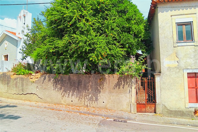 Moradia T3 Anadia, Vila Nova de Monsarros - 1252184 - 7