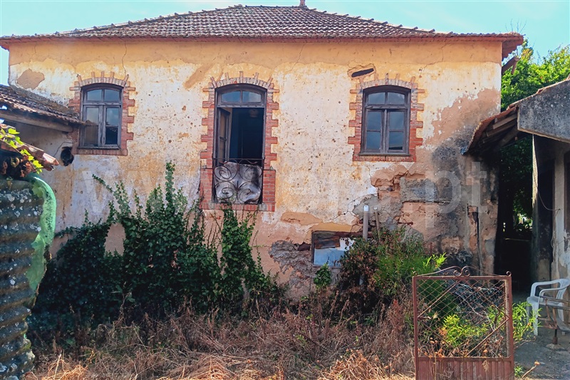 Moradia T3 Anadia, Vila Nova de Monsarros - 1252184 - 14