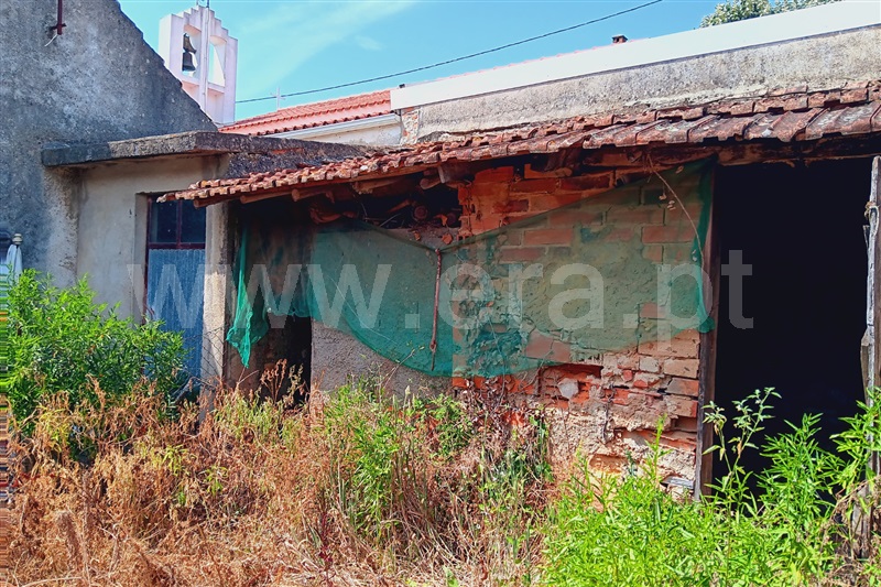 Moradia T3 Anadia, Vila Nova de Monsarros - 1252184 - 15
