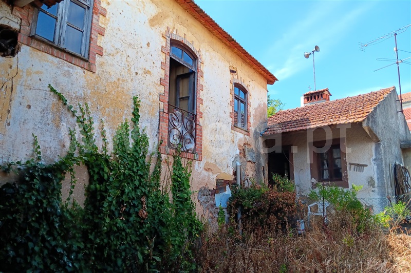 Moradia T3 Anadia, Vila Nova de Monsarros - 1252184 - 16