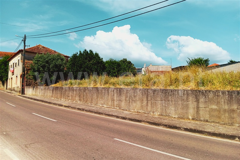 Moradia T3 Anadia, Vila Nova de Monsarros - 1252184 - 20