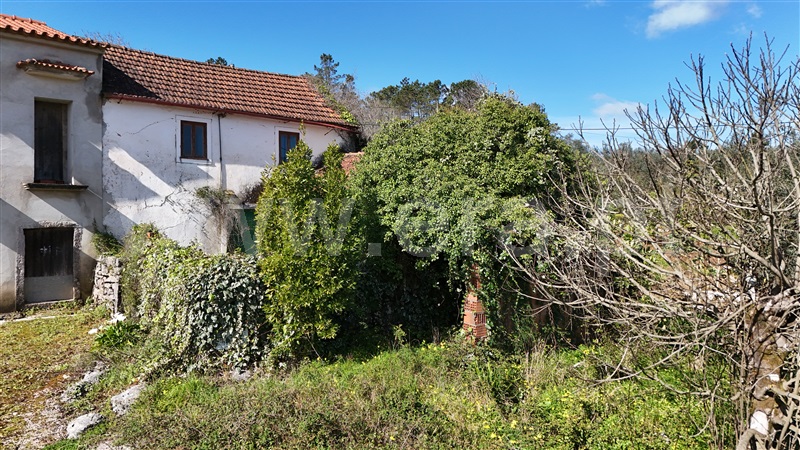Moradia T3 / Ansião, ANSIÃO