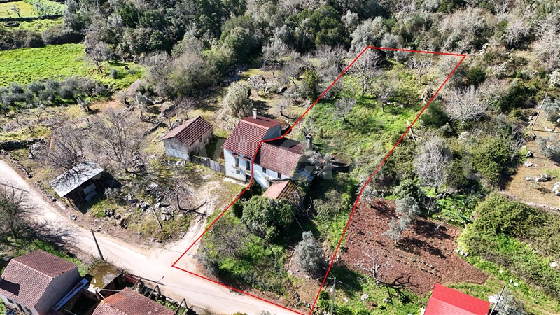 Moradia T3 Ansião, Santiago da Guarda - 1390044 - 3