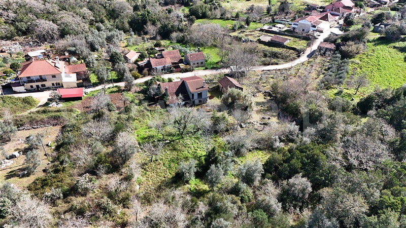 Moradia T3 Ansião, Santiago da Guarda - 1390044 - 20