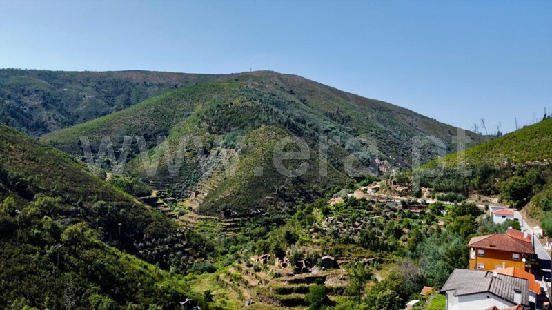 Moradia T3 Arganil, Pomares - 1347465 - 19