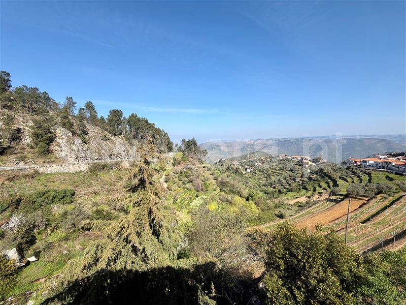 Moradia T3 à venda em Fontelo, Armamar — foto 18