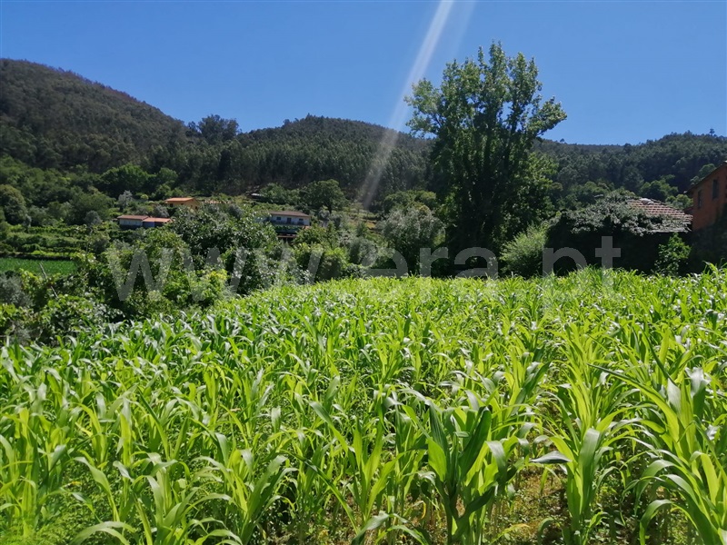 Moradia T3 Arouca, Canelas e Espiunca - 1341784 - 1