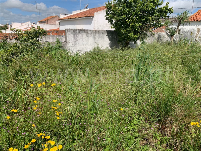 Andar Moradia T3 Avis, Benavila e Valongo - 1377885 - 11