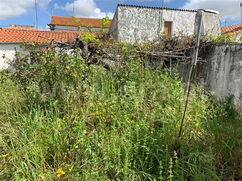 Andar Moradia T3 Avis, Benavila e Valongo - 1377885 - 12