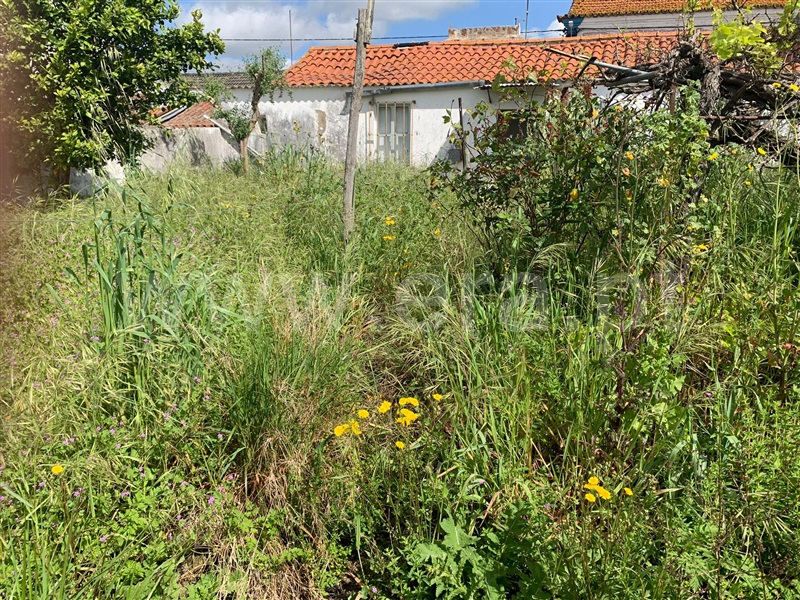 Andar Moradia T3 Avis, Benavila e Valongo - 1377885 - 13