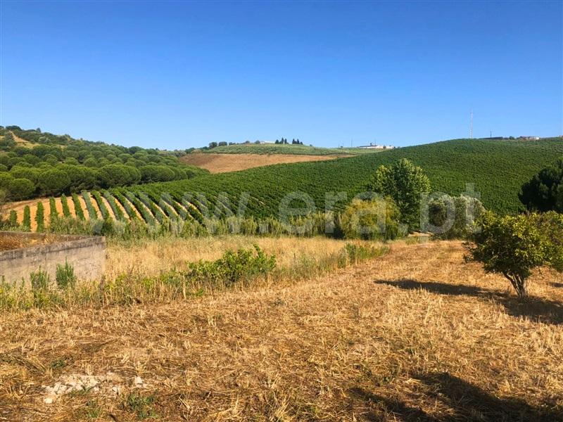 Moradia T3 Azambuja, Manique do Intendente, Vila Nova de São Pedro e Maçussa - 1439537 - 2