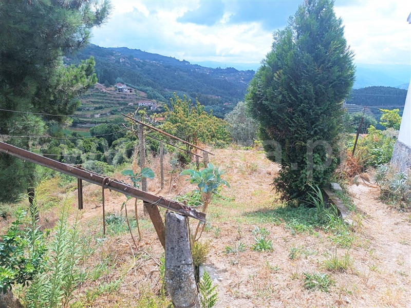 Moradia T3 Baião, Baião (Santa Leocádia) e Mesquinhata - 1344631 - 3