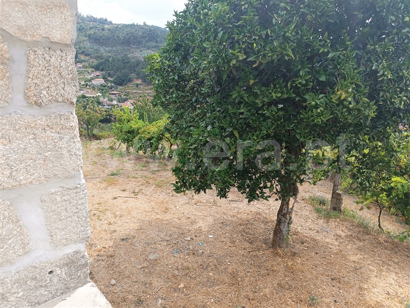 Moradia T3 Baião, Baião (Santa Leocádia) e Mesquinhata - 1344631 - 6