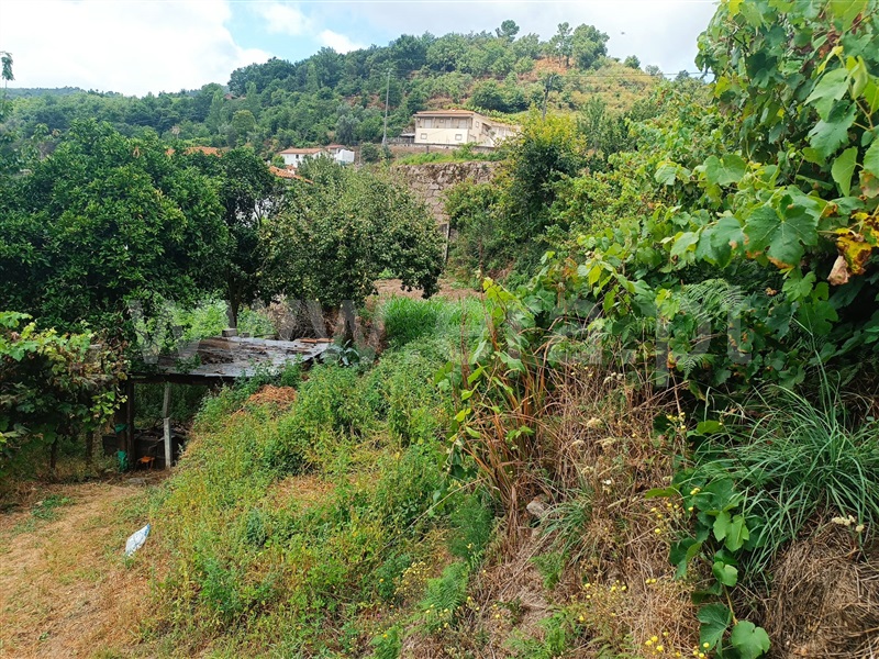 Moradia T3 Baião, Baião (Santa Leocádia) e Mesquinhata - 1344631 - 7