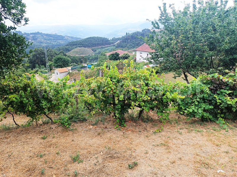 Moradia T3 Baião, Baião (Santa Leocádia) e Mesquinhata - 1344631 - 8