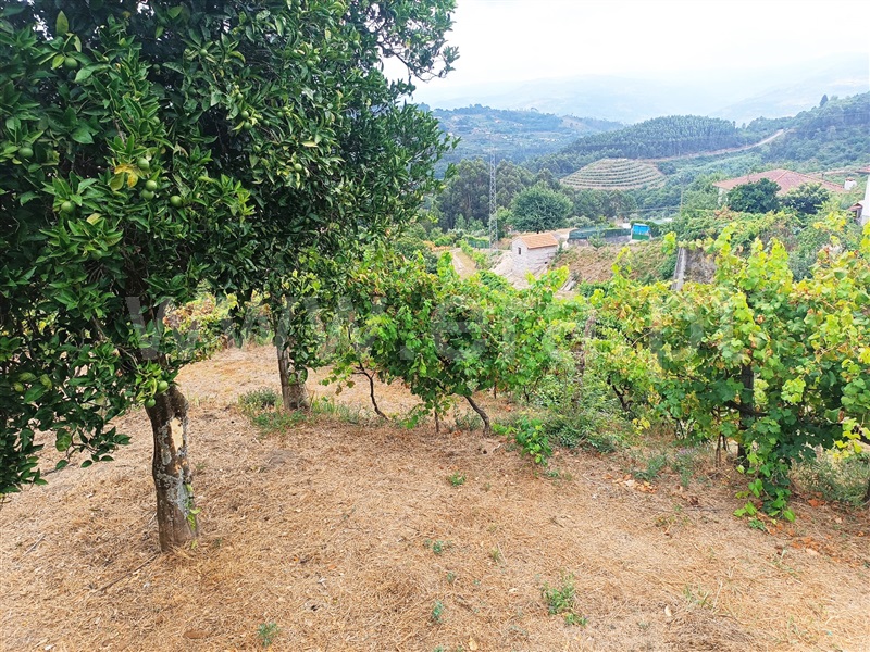 Moradia T3 Baião, Baião (Santa Leocádia) e Mesquinhata - 1344631 - 9