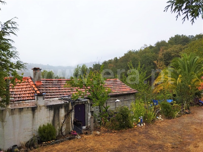 Moradia T3 / Baião, Gestaçô