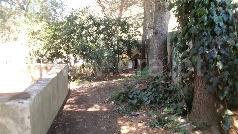 Moradia T3 Baião, Loivos da Ribeira e Tresouras - 1499277 - 28