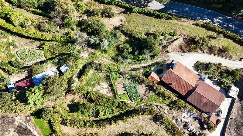 Moradia T3 Baião, Baião (Santa Leocádia) e Mesquinhata - 1438748 - 3