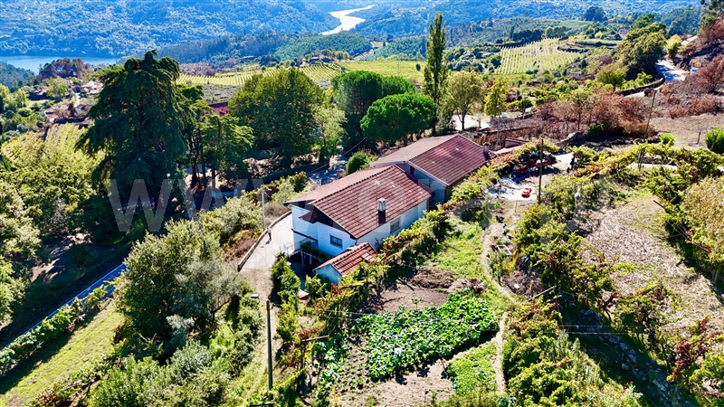 Moradia T3 Baião, Baião (Santa Leocádia) e Mesquinhata - 1438748 - 5