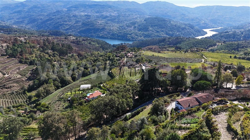 Moradia T3 Baião, Baião (Santa Leocádia) e Mesquinhata - 1438748 - 6
