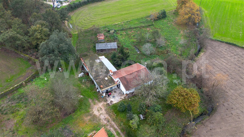 Moradia T3 / Barcelos, Galegos (Santa Maria)