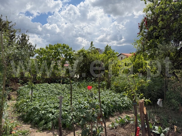Moradia T3 à venda em Maçainhas, Belmonte — foto 6
