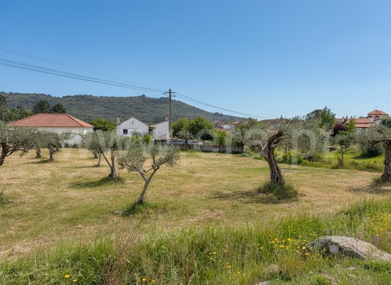 Moradia T3 à venda em Maçainhas, Belmonte — foto 4