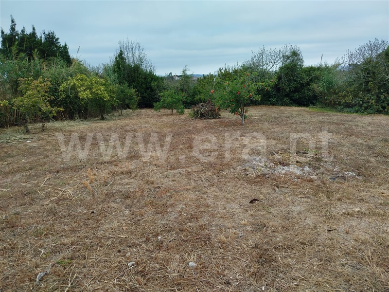 Moradia T3 com Terreno Bombarral, Salgueiro - 1500666 - 12