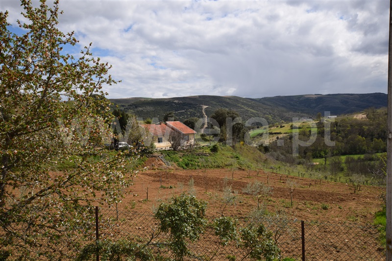 Moradia T3 Bragança, Alfaião - 1250646 - 12