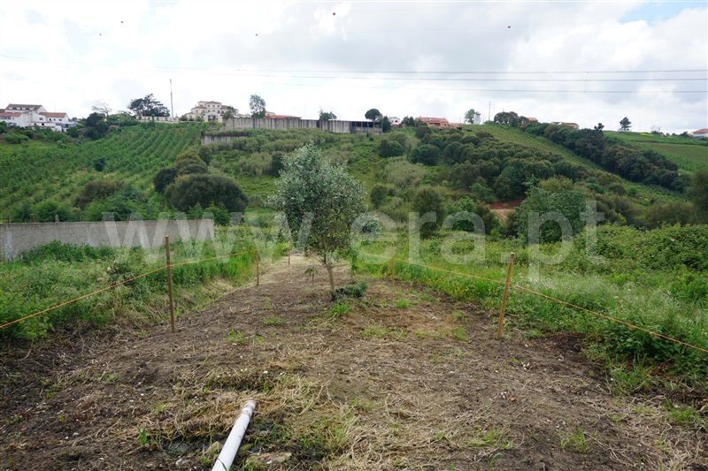 Moradia T3 com Piscina Cadaval, Palhoça - 1477323 - 21