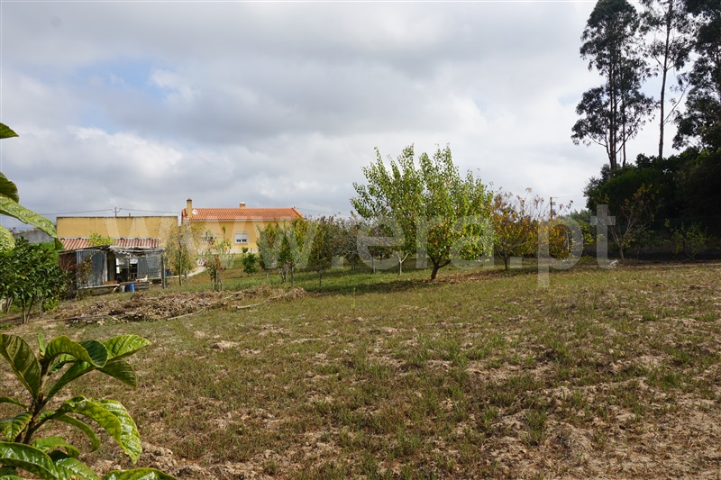 Moradia T3 Caldas da Rainha, Caldas da Rainha - 1512023 - 15