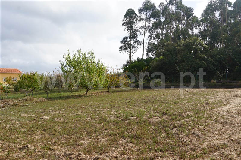 Moradia T3 Caldas da Rainha, Caldas da Rainha - 1512023 - 22