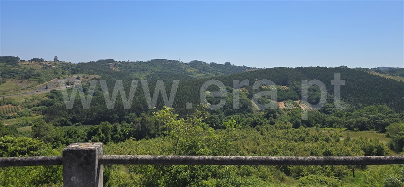 Moradia T4 Caldas da Rainha, São Gregório, Caldas da Rainha - 1490825 - 12