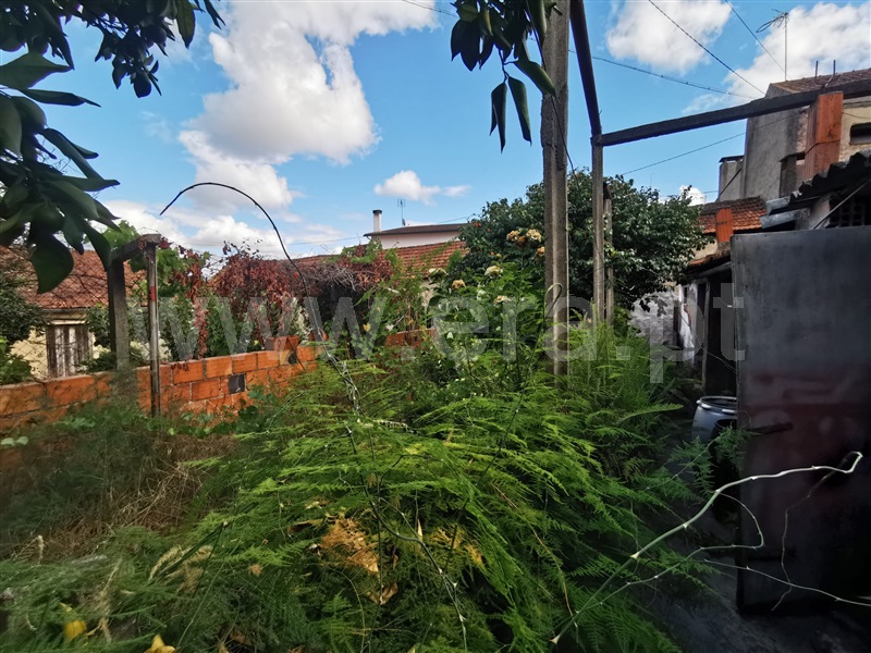 Moradia T3 Cantanhede, Ançã - 1346434 - 9