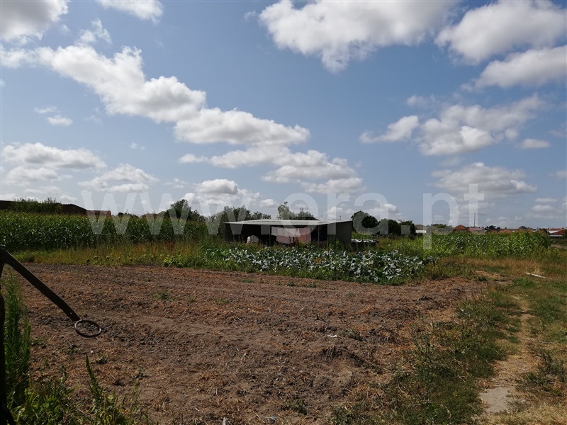 Moradia T3 Cantanhede, Ourentã - 1343701 - 12