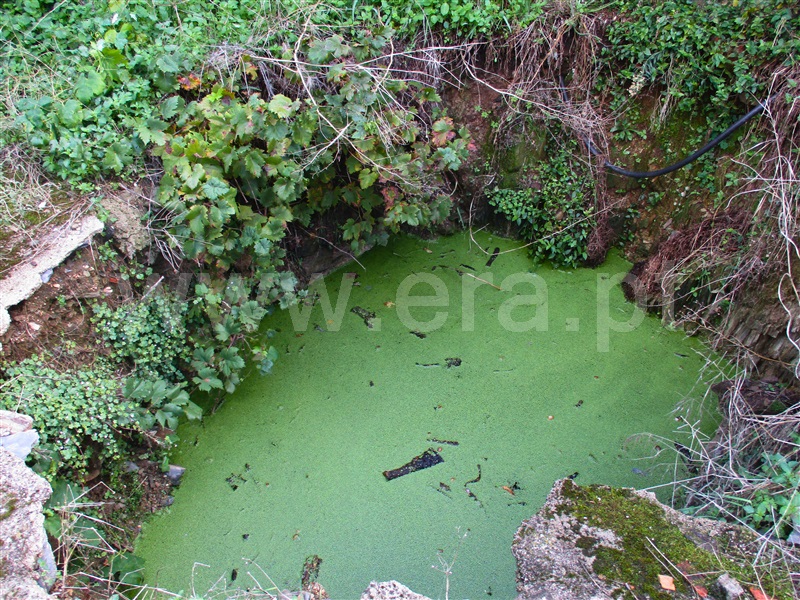 Moradia T3 à venda em Benquerenças, Castelo Branco — foto 9