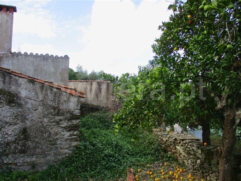 Moradia T3 à venda em Benquerenças, Castelo Branco — foto 10