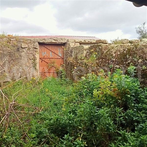 Moradia T3 com Quintal Castelo Branco, Lardosa - 1389929 - 12