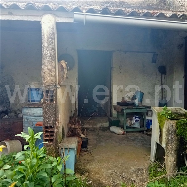 Moradia T3 com Quintal Castelo Branco, Lardosa - 1389929 - 13