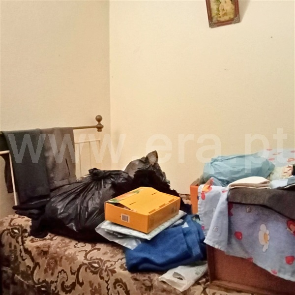 Moradia T3 com Quintal Castelo Branco, Lardosa - 1389929 - 17