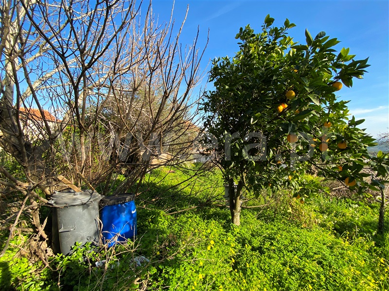 Moradia T3 à venda em Malpica do Tejo, Castelo Branco — foto 14
