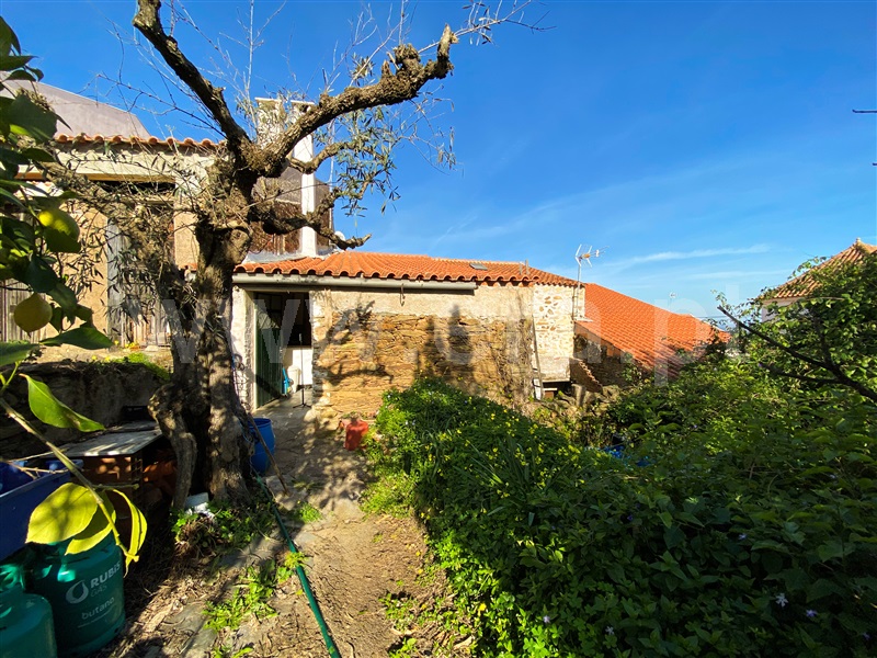 Moradia T3 à venda em Malpica do Tejo, Castelo Branco — foto 15