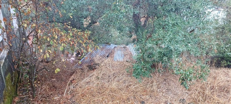 Moradia T3 à venda em São Vicente da Beira, Castelo Branco — foto 14