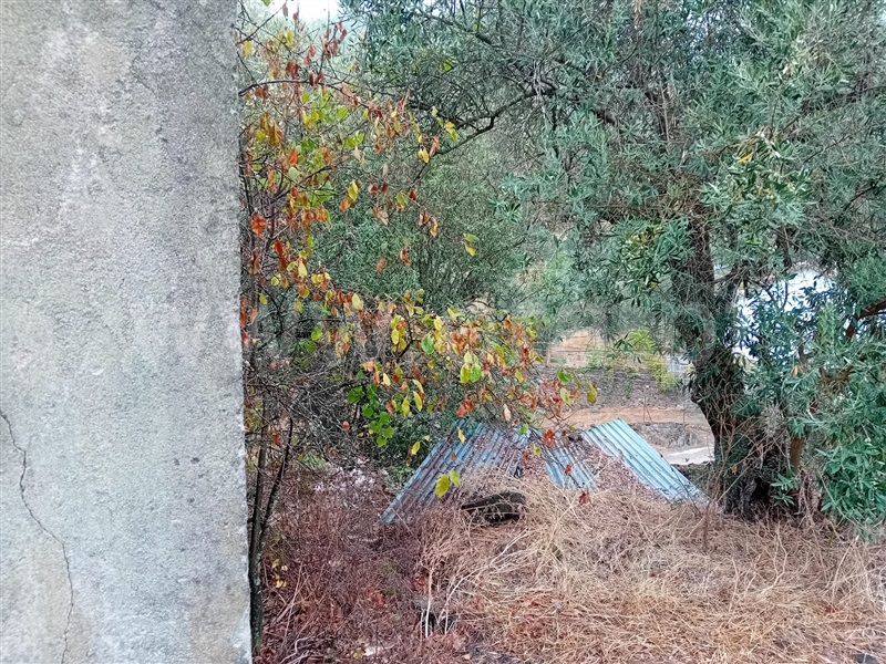 Moradia T3 à venda em São Vicente da Beira, Castelo Branco — foto 16