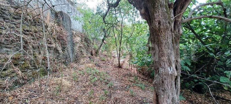 Moradia T3 à venda em São Vicente da Beira, Castelo Branco — foto 17