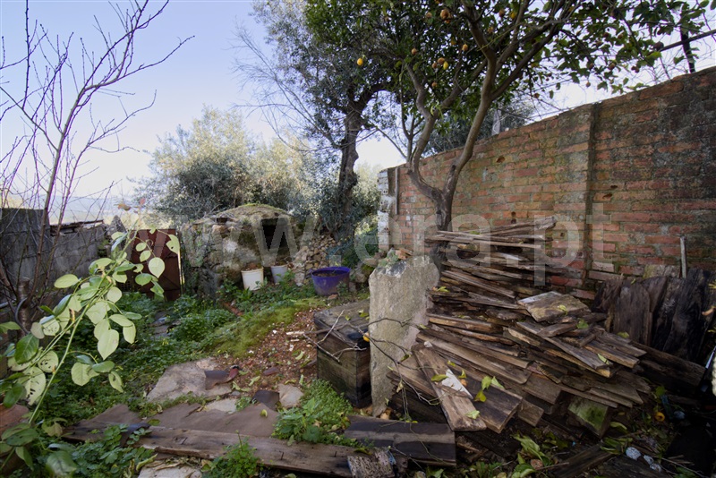Moradia T3 à venda em Sarzedas, Castelo Branco — foto 19